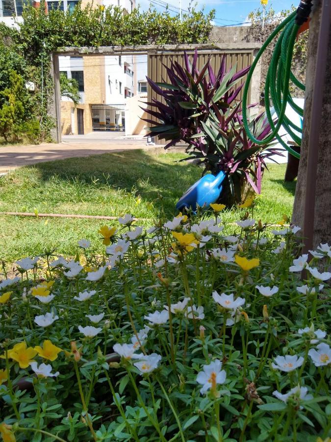 Hostel Consciente Aracaju Kültér fotó